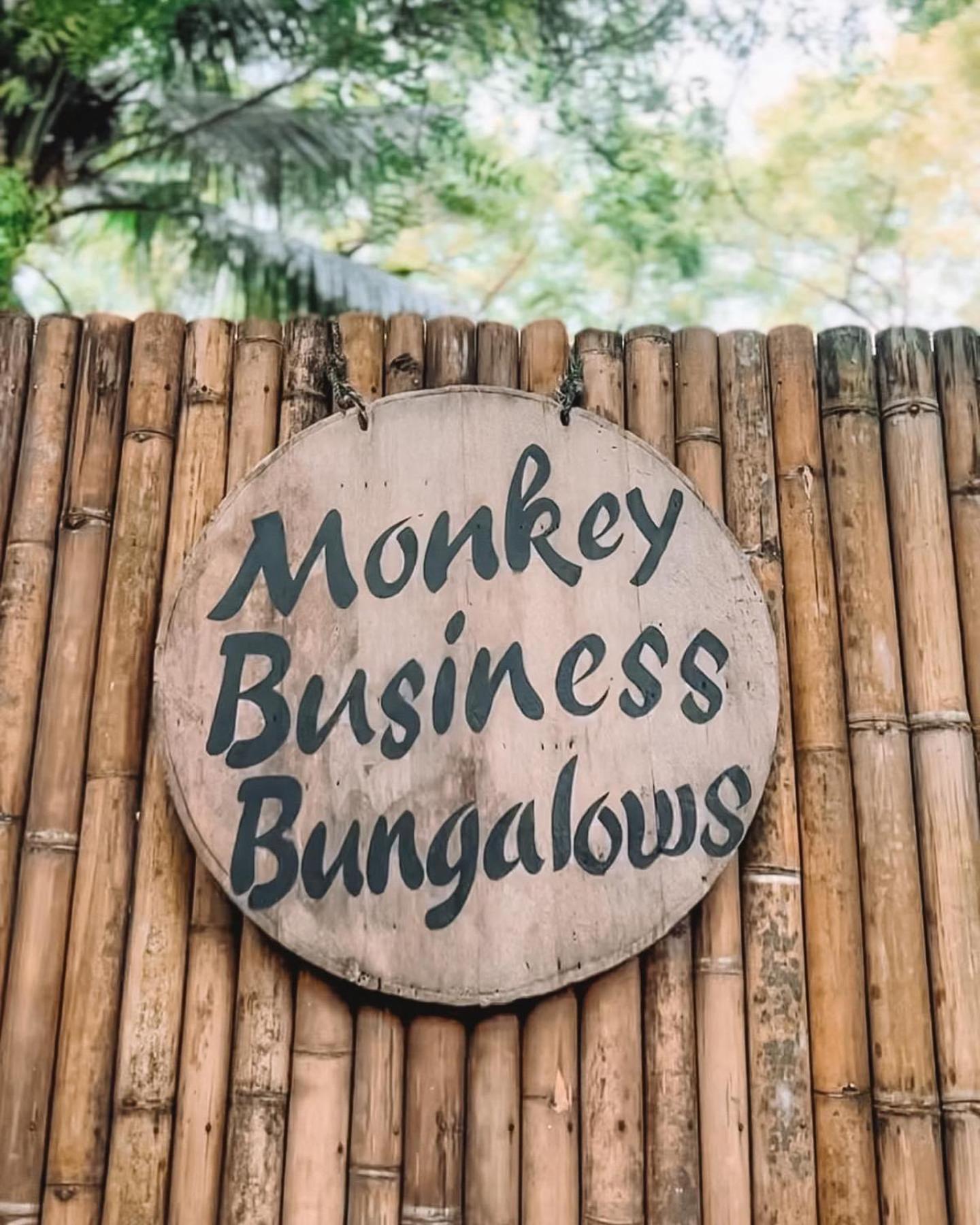 Monkey Business Siquijor Hotell Exteriör bild